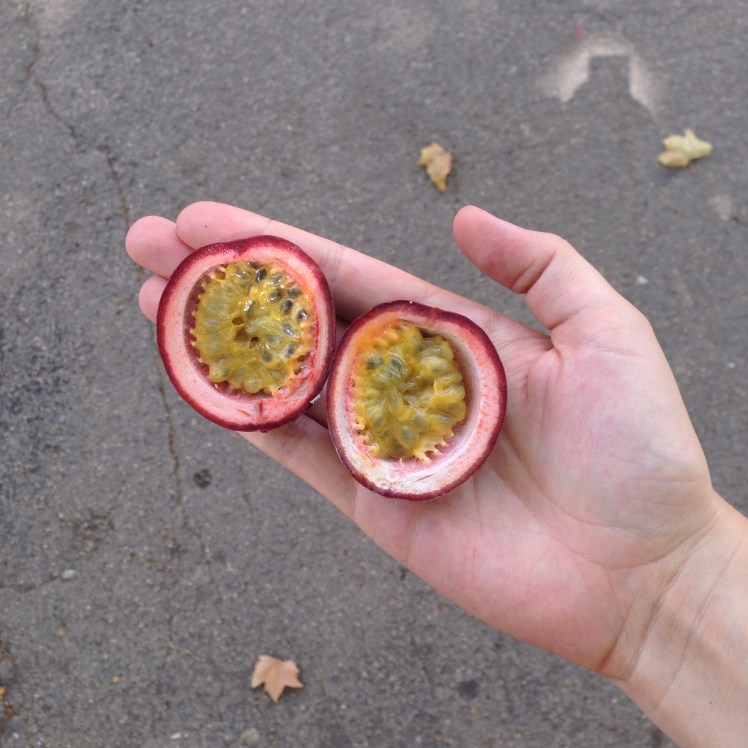 Maracuja www.diewunderbarewelt.com