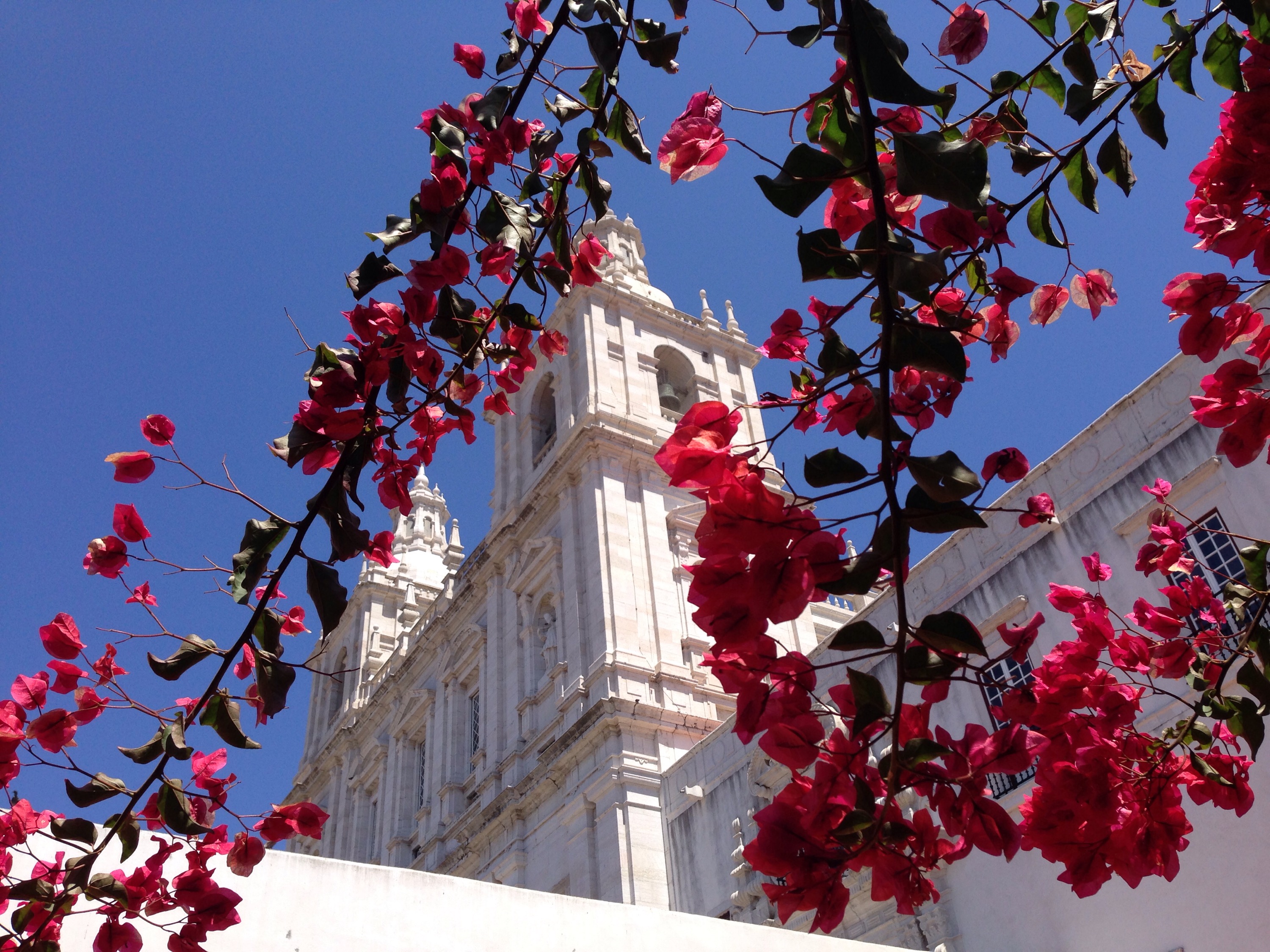 Lissabon www.diewunderbarewelt.com